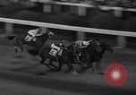 Immagine di War Admiral vincendo il Preakness Stakes Baltimore Maryland USA, 1937, secondo 38 filmato di repertorio 65675051417