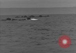 Standbild Allied Crafts Atlantik, 1944, aus Sekunde 55 historischem Filmmaterial Videoclip 65675051428