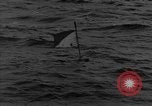 Image of Allied invasion crafts Atlantic Ocean, 1944, second 8 stock footage video 65675051429