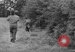 Image of American soldiers Cherbourg Normandy France, 1944, second 43 stock footage video 65675051430