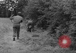 Image of American soldiers Cherbourg Normandy France, 1944, second 44 stock footage video 65675051430