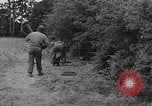 Image of American soldiers Cherbourg Normandy France, 1944, second 45 stock footage video 65675051430