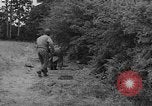 Image of American soldiers Cherbourg Normandy France, 1944, second 46 stock footage video 65675051430