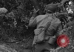 Image des soldats américains Cherbourg Normandie France, 1944, de la seconde 15 séquences d'archives historiques vidéo 65675051431