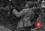 Image des soldats américains Cherbourg Normandie France, 1944, de la seconde 19 séquences d'archives historiques vidéo 65675051431