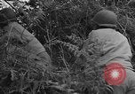 Image des soldats américains Cherbourg Normandie France, 1944, de la seconde 30 séquences d'archives historiques vidéo 65675051431