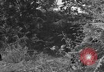 Image of German soldiers Cherbourg Normandy France, 1944, second 8 stock footage video 65675051433