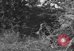 Image of German soldiers Cherbourg Normandy France, 1944, second 9 stock footage video 65675051433