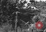 Image of German soldiers Cherbourg Normandy France, 1944, second 15 stock footage video 65675051433