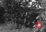 Image of German soldiers Cherbourg Normandy France, 1944, second 26 stock footage video 65675051433