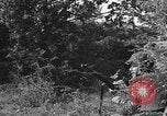 Image of German soldiers Cherbourg Normandy France, 1944, second 28 stock footage video 65675051433