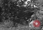 Image of German soldiers Cherbourg Normandy France, 1944, second 34 stock footage video 65675051433