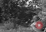 Image of German soldiers Cherbourg Normandy France, 1944, second 35 stock footage video 65675051433
