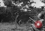 Image of German soldiers Cherbourg Normandy France, 1944, second 56 stock footage video 65675051433