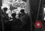 Image of Troop ship Convoy Atlantic Ocean, 1944, second 48 stock footage video 65675051447