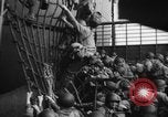 Image of Allied troops France, 1944, second 21 stock footage video 65675051466