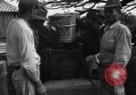 Image of Okinawan civilians Okinawa Ryukyu Islands, 1945, second 11 stock footage video 65675051469