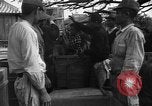 Image of Okinawan civilians Okinawa Ryukyu Islands, 1945, second 14 stock footage video 65675051469