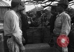 Image of Okinawan civilians Okinawa Ryukyu Islands, 1945, second 15 stock footage video 65675051469