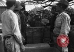 Image of Okinawan civilians Okinawa Ryukyu Islands, 1945, second 18 stock footage video 65675051469