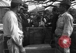 Image of Okinawan civilians Okinawa Ryukyu Islands, 1945, second 24 stock footage video 65675051469