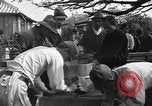 Image of Okinawan civilians Okinawa Ryukyu Islands, 1945, second 31 stock footage video 65675051469
