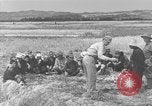 Image of Japanese civilians Okinawa Ryukyu Islands, 1945, second 35 stock footage video 65675051471