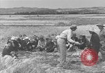 Image of Japanese civilians Okinawa Ryukyu Islands, 1945, second 36 stock footage video 65675051471