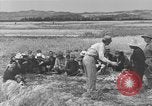 Image of Japanese civilians Okinawa Ryukyu Islands, 1945, second 37 stock footage video 65675051471