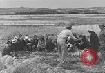 Image of Japanese civilians Okinawa Ryukyu Islands, 1945, second 39 stock footage video 65675051471