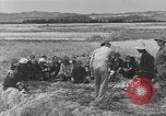 Image of Japanese civilians Okinawa Ryukyu Islands, 1945, second 40 stock footage video 65675051471