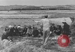 Image of Japanese civilians Okinawa Ryukyu Islands, 1945, second 41 stock footage video 65675051471