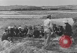 Image of Japanese civilians Okinawa Ryukyu Islands, 1945, second 45 stock footage video 65675051471