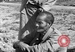 Image of Okinawan civilians Okinawa Ryukyu Islands, 1945, second 43 stock footage video 65675051473