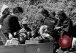 Standbild Okinawans Gehäuse Okinawa Ryukyu Inseln, 1945, aus Sekunde 33 historischem Filmmaterial Videoclip 65675051477
