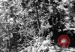 Image civils d'Okinawa Taira Okinawa îles Ryukyu, 1945, de la seconde 45 séquences d'archives historiques vidéo 65675051478