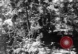 Image civils d'Okinawa Taira Okinawa îles Ryukyu, 1945, de la seconde 46 séquences d'archives historiques vidéo 65675051478