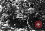 Image civils d'Okinawa Taira Okinawa îles Ryukyu, 1945, de la seconde 50 séquences d'archives historiques vidéo 65675051478