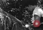 Image civils d'Okinawa Taira Okinawa îles Ryukyu, 1945, de la seconde 51 séquences d'archives historiques vidéo 65675051478