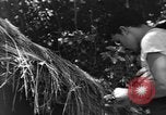 Image civils d'Okinawa Taira Okinawa îles Ryukyu, 1945, de la seconde 54 séquences d'archives historiques vidéo 65675051478