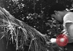 Image civils d'Okinawa Taira Okinawa îles Ryukyu, 1945, de la seconde 55 séquences d'archives historiques vidéo 65675051478