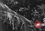 Image civils d'Okinawa Taira Okinawa îles Ryukyu, 1945, de la seconde 59 séquences d'archives historiques vidéo 65675051478