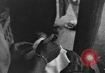 Image of Civilians in Okinawa field hospital Okinawa Ryukyu Islands, 1945, second 28 stock footage video 65675051482