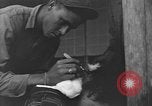 Image of Civilians in Okinawa field hospital Okinawa Ryukyu Islands, 1945, second 38 stock footage video 65675051482