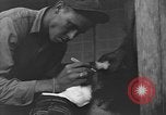Image of Civilians in Okinawa field hospital Okinawa Ryukyu Islands, 1945, second 39 stock footage video 65675051482