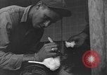 Image of Civilians in Okinawa field hospital Okinawa Ryukyu Islands, 1945, second 43 stock footage video 65675051482