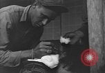 Image of Civilians in Okinawa field hospital Okinawa Ryukyu Islands, 1945, second 44 stock footage video 65675051482