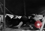 Standbild Okinawa Menschen Okinawa Ryukyu Inseln, 1945, aus Sekunde 11 historischem Filmmaterial Videoclip 65675051483