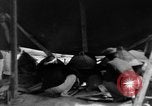 Standbild Okinawa Menschen Okinawa Ryukyu Inseln, 1945, aus Sekunde 12 historischem Filmmaterial Videoclip 65675051483