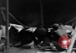 Standbild Okinawa Menschen Okinawa Ryukyu Inseln, 1945, aus Sekunde 13 historischem Filmmaterial Videoclip 65675051483